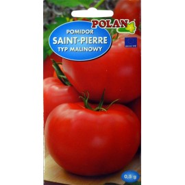 Polan Pomidor malinowy Saint-Pierre 0,5g