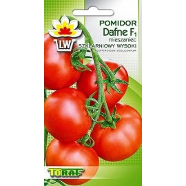 TORAF Pomidor szklarniowy Dafne F1 0,2g