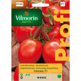 VIL Pomidor szklarniowy Cencara F1 0,2g PROFI