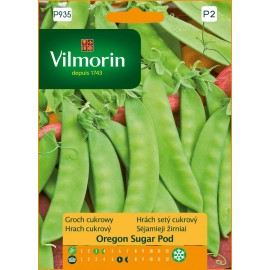 VIL Groch cukrowy Oregon Sugar Pod 40g