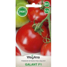 WEG Pomidor pod osłony Galant F1 0,1g Profi
