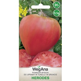 WER Pomidor wysoki Herodes 0,5g