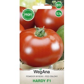 WEG Pomidor pod osłony Hardy F1 0,1g Profi