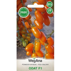 WEG Pomidor szklarniowy Odat F1 20szt PROFI