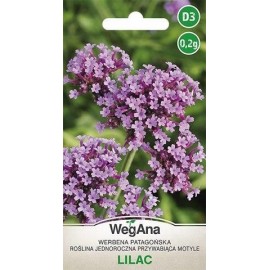 WEG Werbena patagońska Lilac 0.2g